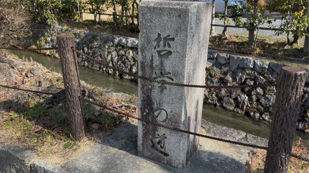 Your Zen Kyoto Solo Itinerary - Philosopher's path