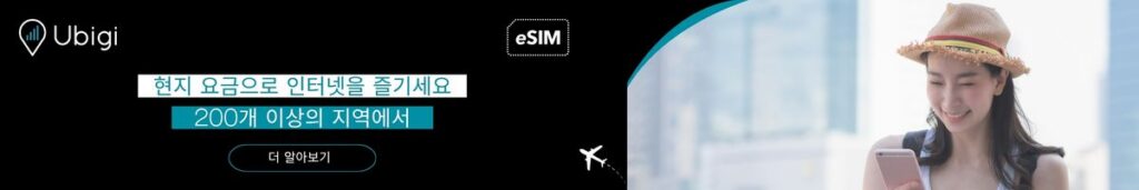 호주의 유비기 eSIM 연결성