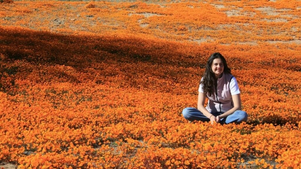 Het bloeiseizoen in Namaqualand in Zuid-Afrika- Hoe je van dit spektakel kunt genieten: met de auto, te voet en door de lens