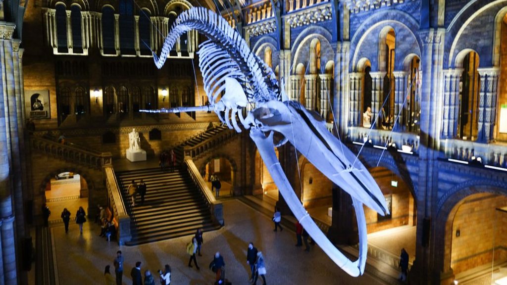 Cheapest Times to Explore London - Low Season