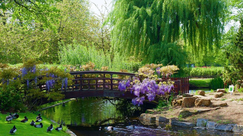 Explore London's Parks and Outdoor Spaces