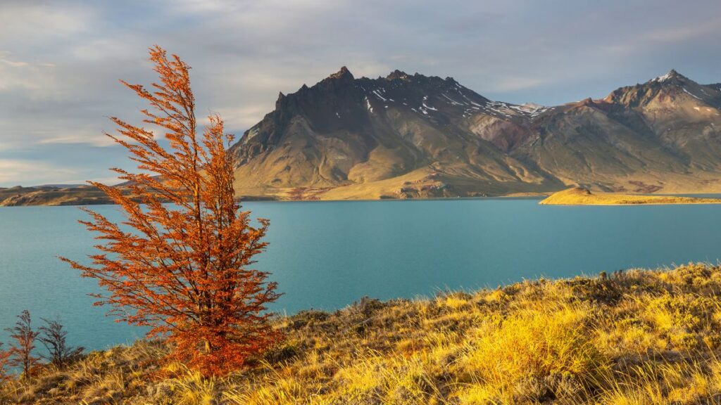Discover Patagonia in Autumn