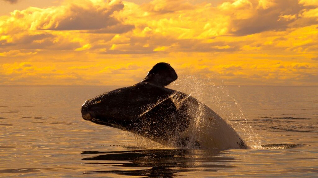 Best Time for Photography