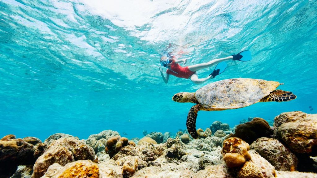 Atividades ao ar livre e cultura - Água cristalina e mergulho com snorkel