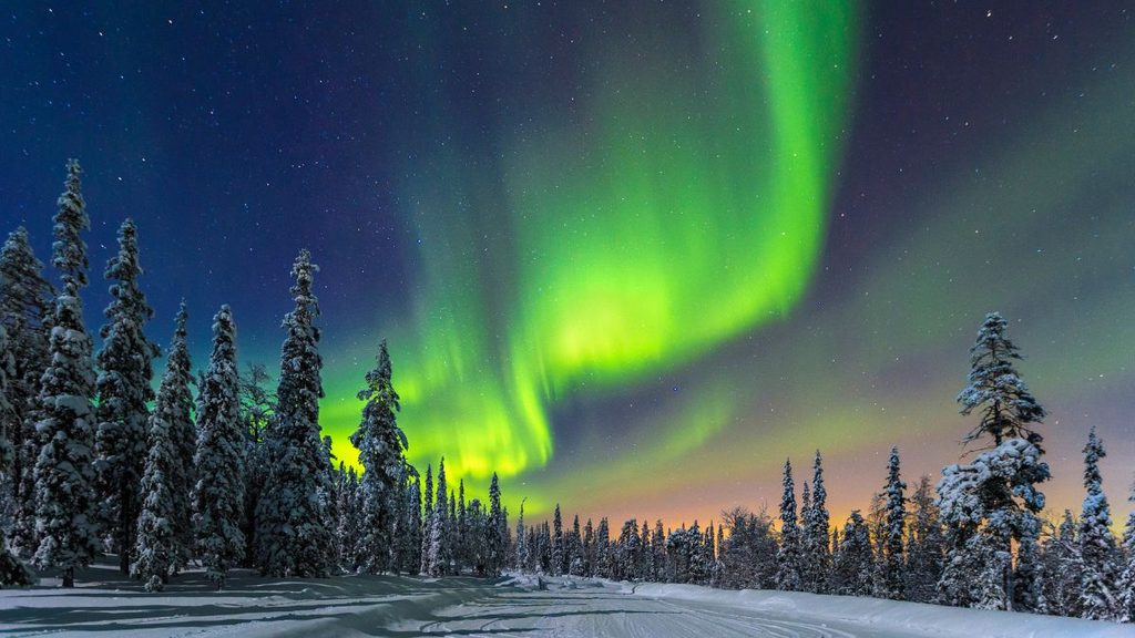 Descubre los lugares para observar la aurora boreal en Finlandia: el bosque de Luosto
